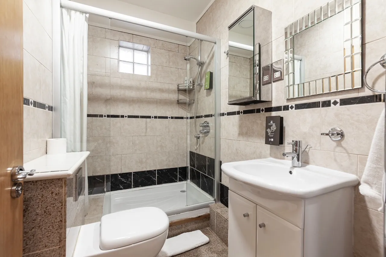 Deluxe Apartment — photo 10